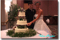 houston wedding video, video houston, wedding, weddings